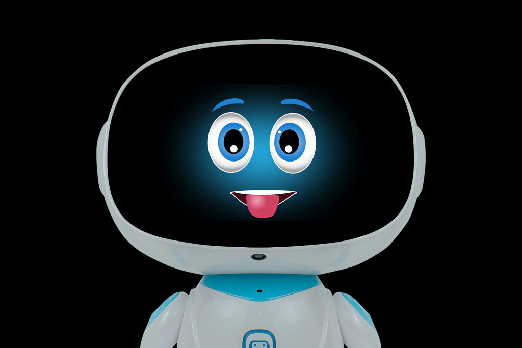 home robot