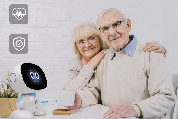 companion robots for the elderly