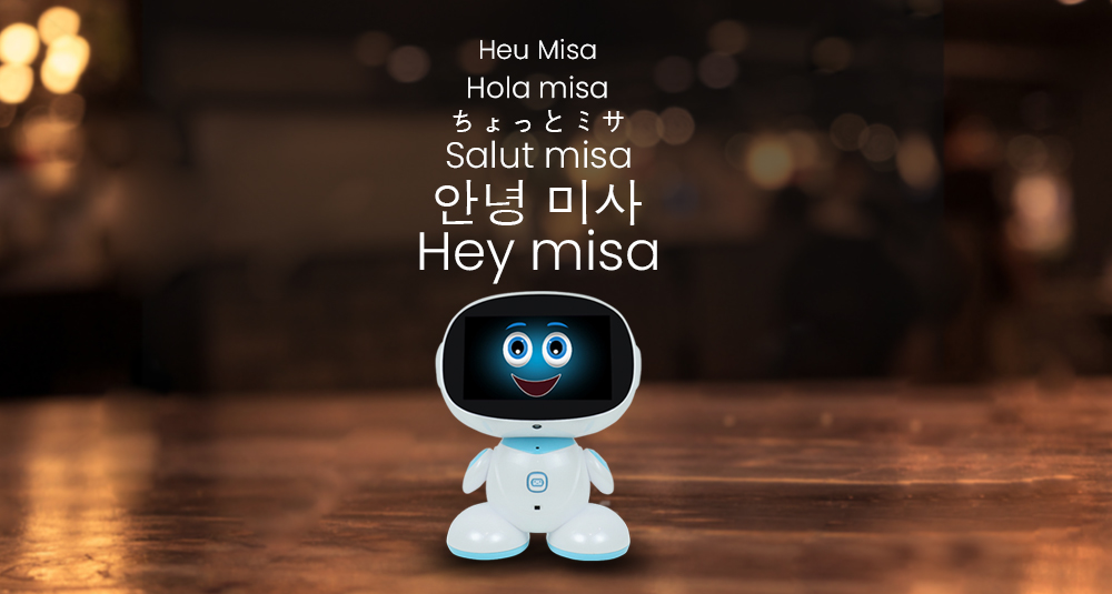 How Misa Robot can help People of Determination