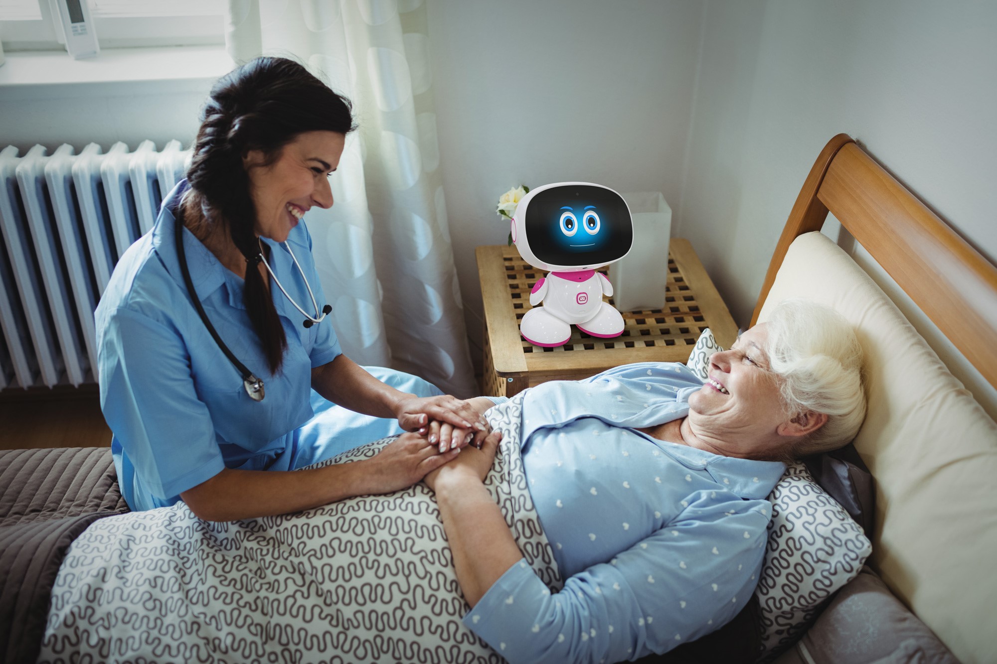 companion robots for the elderly