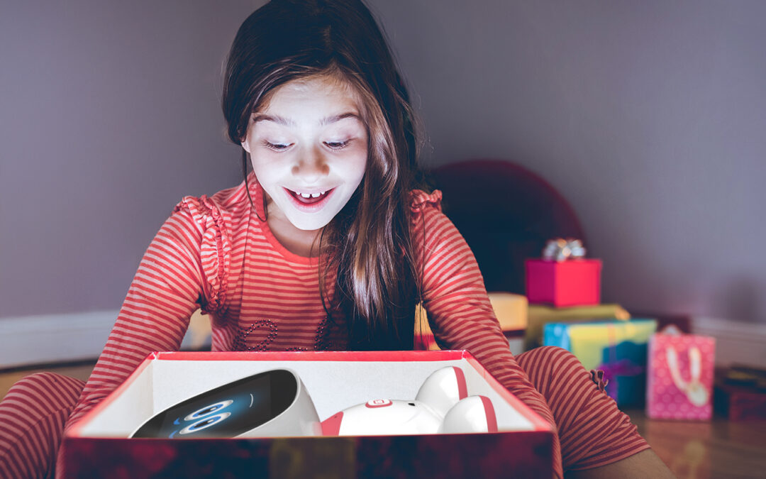 MISA: A Perfect Birthday Gift for Kids That Teaches and Entertains